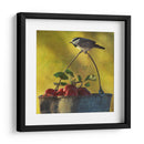 Manzanas Y Chickadee - Chris Vest | Cuadro decorativo de Canvas Lab