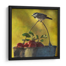 Manzanas Y Chickadee - Chris Vest | Cuadro decorativo de Canvas Lab