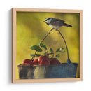 Manzanas Y Chickadee - Chris Vest | Cuadro decorativo de Canvas Lab