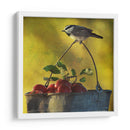 Manzanas Y Chickadee - Chris Vest | Cuadro decorativo de Canvas Lab