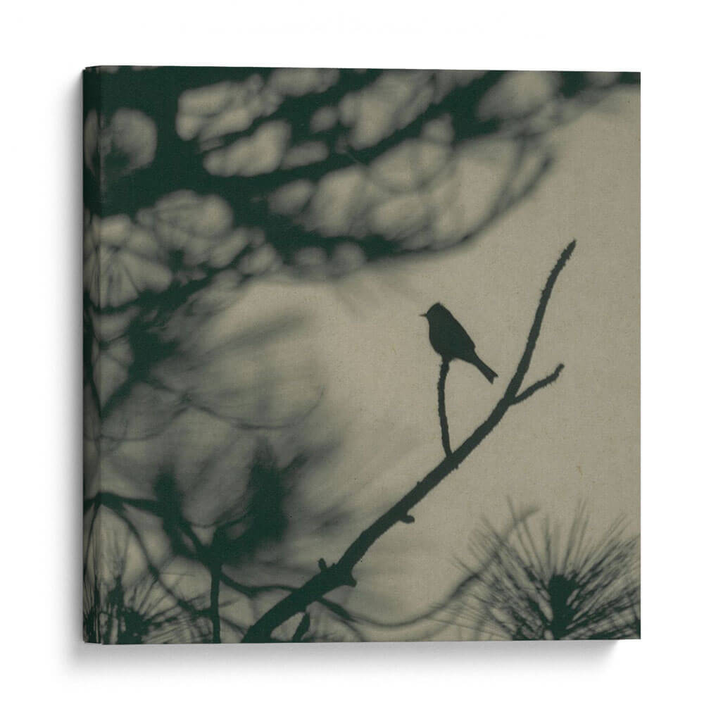 Pájaro De Caligrafía I - Elena Ray | Cuadro decorativo de Canvas Lab