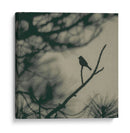 Pájaro De Caligrafía I - Elena Ray | Cuadro decorativo de Canvas Lab