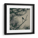 Pájaro De Caligrafía I - Elena Ray | Cuadro decorativo de Canvas Lab