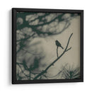 Pájaro De Caligrafía I - Elena Ray | Cuadro decorativo de Canvas Lab