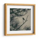 Pájaro De Caligrafía I - Elena Ray | Cuadro decorativo de Canvas Lab