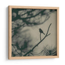 Pájaro De Caligrafía I - Elena Ray | Cuadro decorativo de Canvas Lab