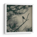 Pájaro De Caligrafía I - Elena Ray | Cuadro decorativo de Canvas Lab