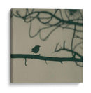 Caligrafía Pájaro Ii - Elena Ray | Cuadro decorativo de Canvas Lab