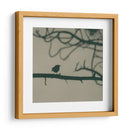 Caligrafía Pájaro Ii - Elena Ray | Cuadro decorativo de Canvas Lab