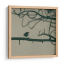 Caligrafía Pájaro Ii - Elena Ray | Cuadro decorativo de Canvas Lab