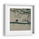 Caligrafía Pájaro Ii - Elena Ray | Cuadro decorativo de Canvas Lab