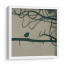 Caligrafía Pájaro Ii - Elena Ray | Cuadro decorativo de Canvas Lab