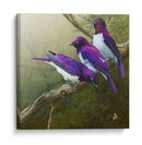 Starlings Africanos - Chris Vest | Cuadro decorativo de Canvas Lab