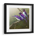 Starlings Africanos - Chris Vest | Cuadro decorativo de Canvas Lab
