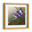 Starlings Africanos - Chris Vest | Cuadro decorativo de Canvas Lab