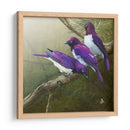 Starlings Africanos - Chris Vest | Cuadro decorativo de Canvas Lab