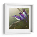 Starlings Africanos - Chris Vest | Cuadro decorativo de Canvas Lab