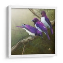 Starlings Africanos - Chris Vest | Cuadro decorativo de Canvas Lab