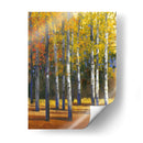 Caída En La Gloria I - Tim OToole | Cuadro decorativo de Canvas Lab