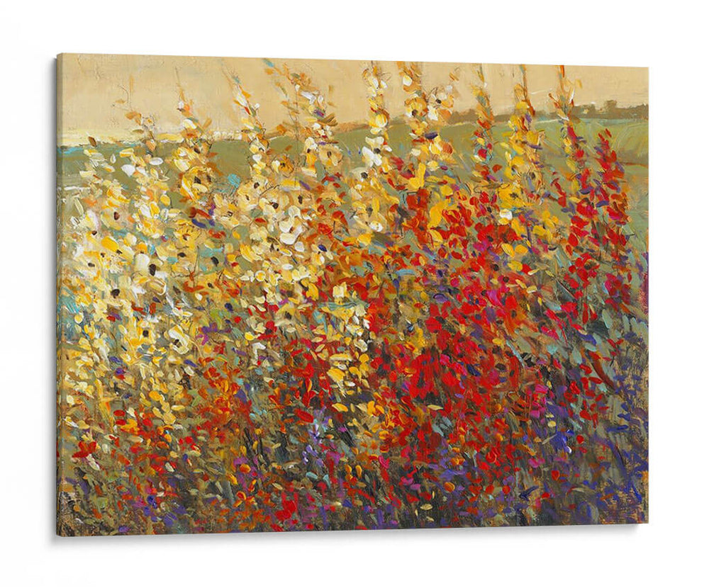 Campo De Flores De Primavera I - Tim OToole | Cuadro decorativo de Canvas Lab