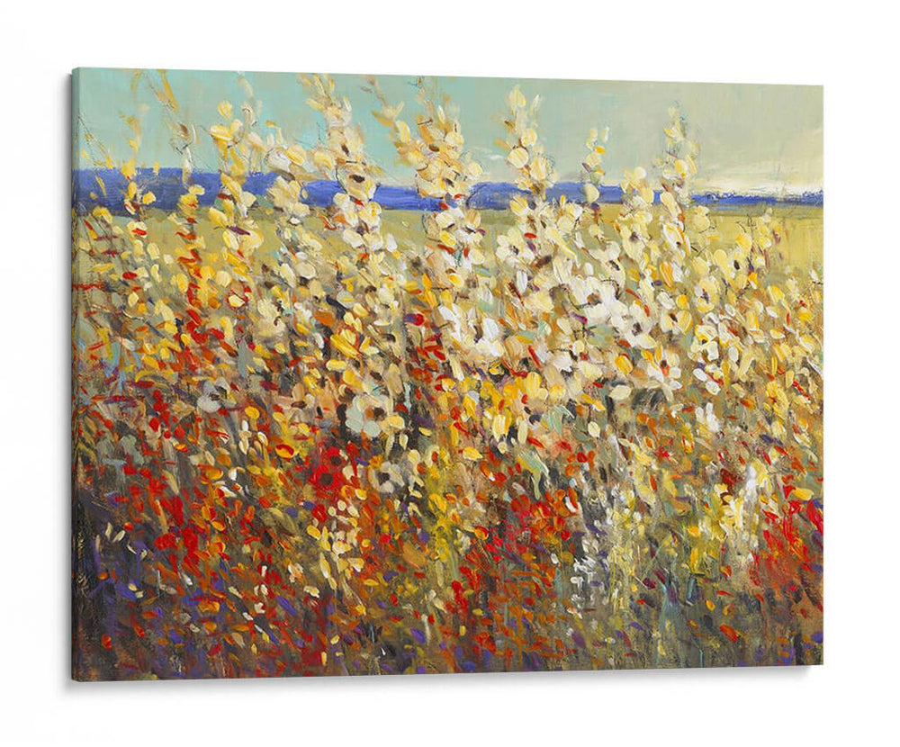 Campo De Flores De Primavera Ii - Tim OToole | Cuadro decorativo de Canvas Lab