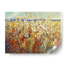 Campo De Flores De Primavera Ii - Tim OToole | Cuadro decorativo de Canvas Lab