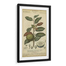 Exótico Botanica Iii - Turpin | Cuadro decorativo de Canvas Lab