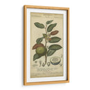 Exótico Botanica Iii - Turpin | Cuadro decorativo de Canvas Lab