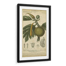 Exótico Botánica Iv - Turpin | Cuadro decorativo de Canvas Lab