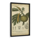 Exótico Botánica Iv - Turpin | Cuadro decorativo de Canvas Lab