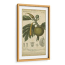 Exótico Botánica Iv - Turpin | Cuadro decorativo de Canvas Lab