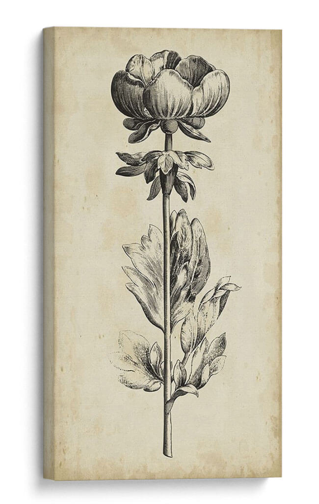 Cuadro decorativo de Canvas Lab