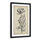 Belleza Singular Iv - Vision Studio | Cuadro decorativo de Canvas Lab