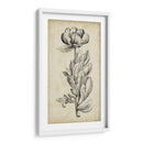 Belleza Singular Iv - Vision Studio | Cuadro decorativo de Canvas Lab