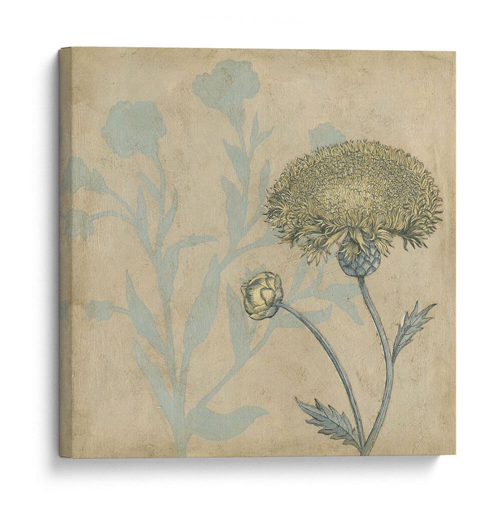 Sombra Floral Ii - Megan Meagher | Cuadro decorativo de Canvas Lab