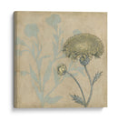 Sombra Floral Ii - Megan Meagher | Cuadro decorativo de Canvas Lab