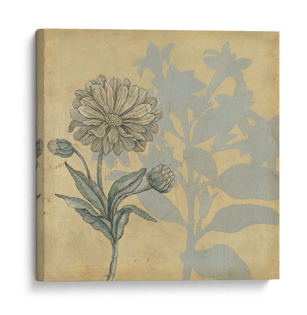 Sombra Floral Iii - Megan Meagher | Cuadro decorativo de Canvas Lab