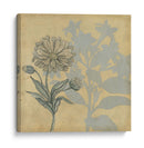 Sombra Floral Iii - Megan Meagher | Cuadro decorativo de Canvas Lab