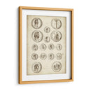 Monedas Romanas Antiguas Iv | Cuadro decorativo de Canvas Lab