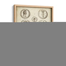 Monedas Romanas Antiguas Iv | Cuadro decorativo de Canvas Lab