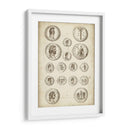 Monedas Romanas Antiguas Iv | Cuadro decorativo de Canvas Lab