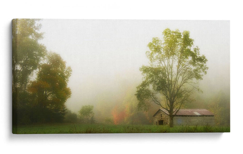 Niebla En La Granja - Danny Head | Cuadro decorativo de Canvas Lab