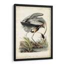 Gran Garza Azul - John James Audubon | Cuadro decorativo de Canvas Lab