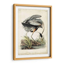 Gran Garza Azul - John James Audubon | Cuadro decorativo de Canvas Lab