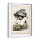Gran Garza Azul - John James Audubon | Cuadro decorativo de Canvas Lab