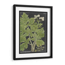Dramático Weinmann Greenery I - Vision Studio | Cuadro decorativo de Canvas Lab