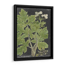 Dramático Weinmann Greenery I - Vision Studio | Cuadro decorativo de Canvas Lab