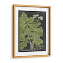 Dramático Weinmann Greenery I - Vision Studio | Cuadro decorativo de Canvas Lab