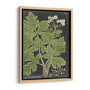 Dramático Weinmann Greenery I - Vision Studio | Cuadro decorativo de Canvas Lab