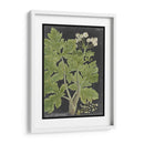Dramático Weinmann Greenery I - Vision Studio | Cuadro decorativo de Canvas Lab